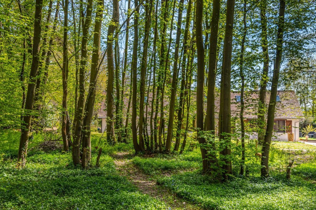 Gites Du Bois Des Perruches Saint-Vincent-des-Bois Eksteriør billede