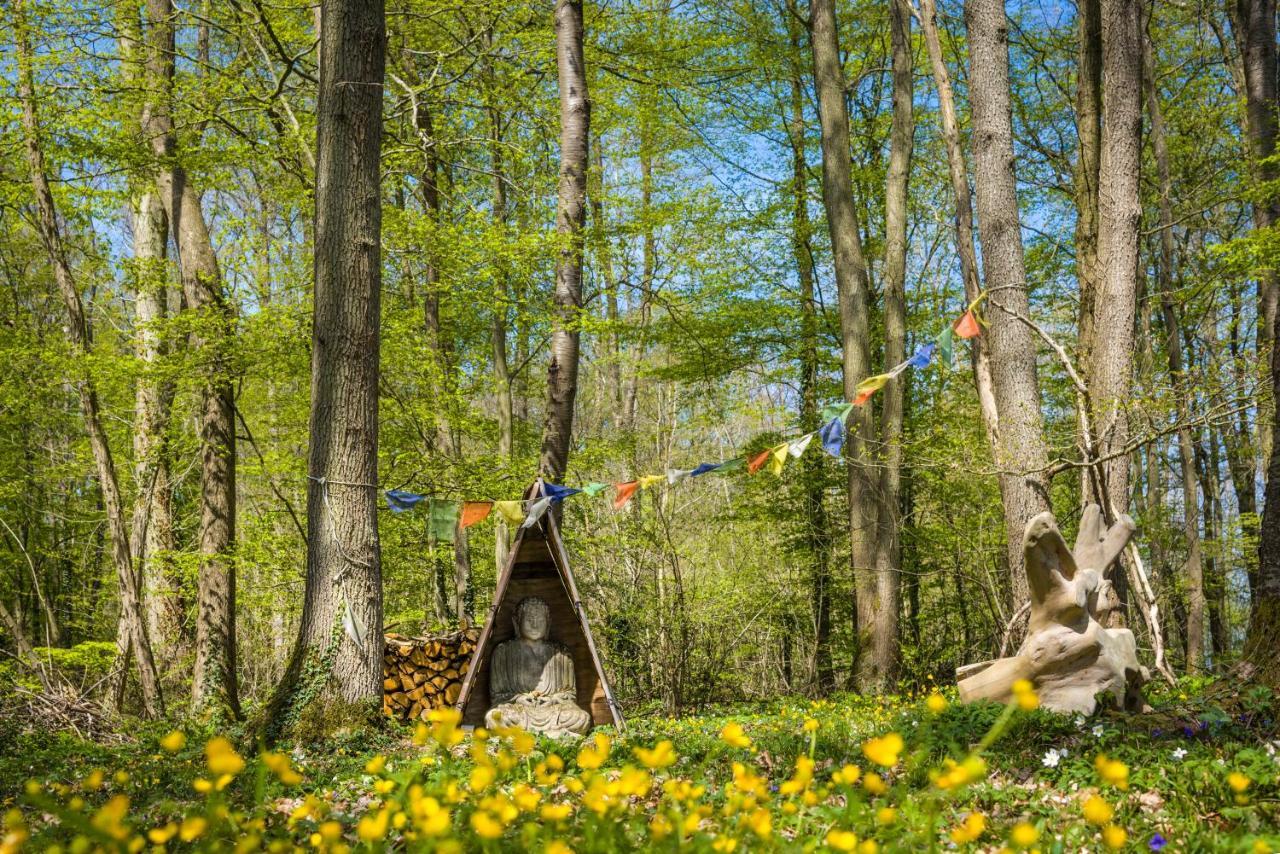 Gites Du Bois Des Perruches Saint-Vincent-des-Bois Eksteriør billede