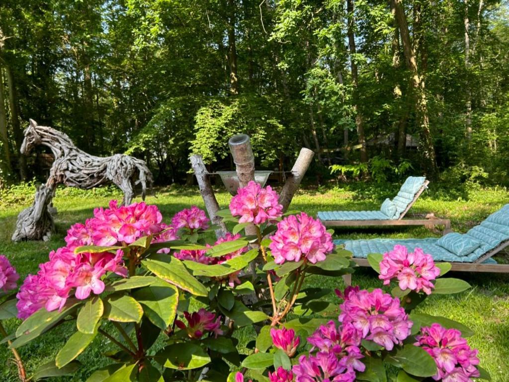 Gites Du Bois Des Perruches Saint-Vincent-des-Bois Eksteriør billede