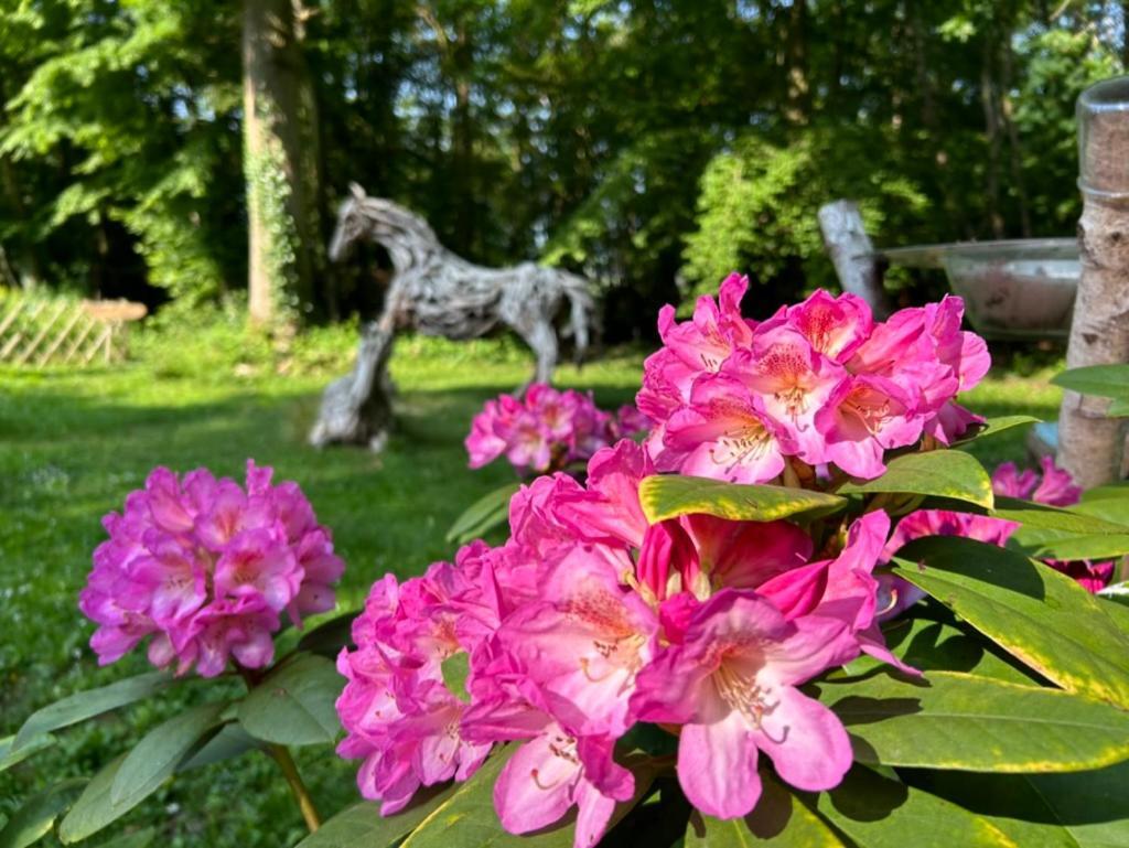 Gites Du Bois Des Perruches Saint-Vincent-des-Bois Eksteriør billede