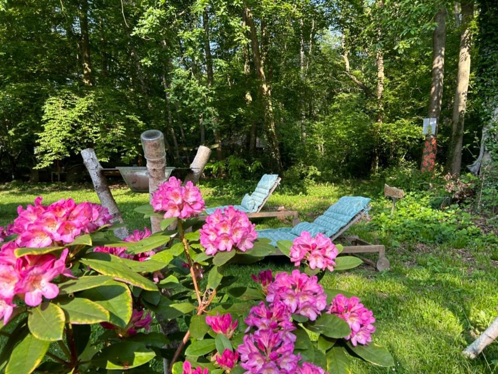 Gites Du Bois Des Perruches Saint-Vincent-des-Bois Eksteriør billede