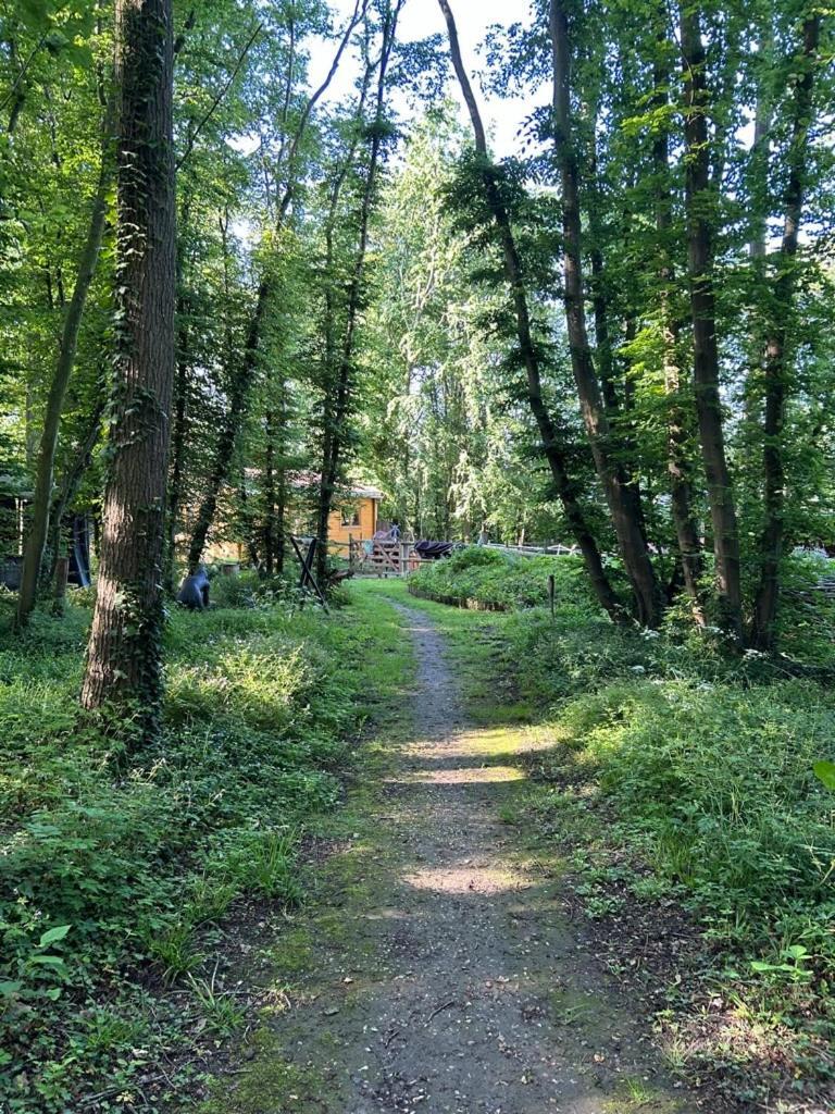 Gites Du Bois Des Perruches Saint-Vincent-des-Bois Eksteriør billede